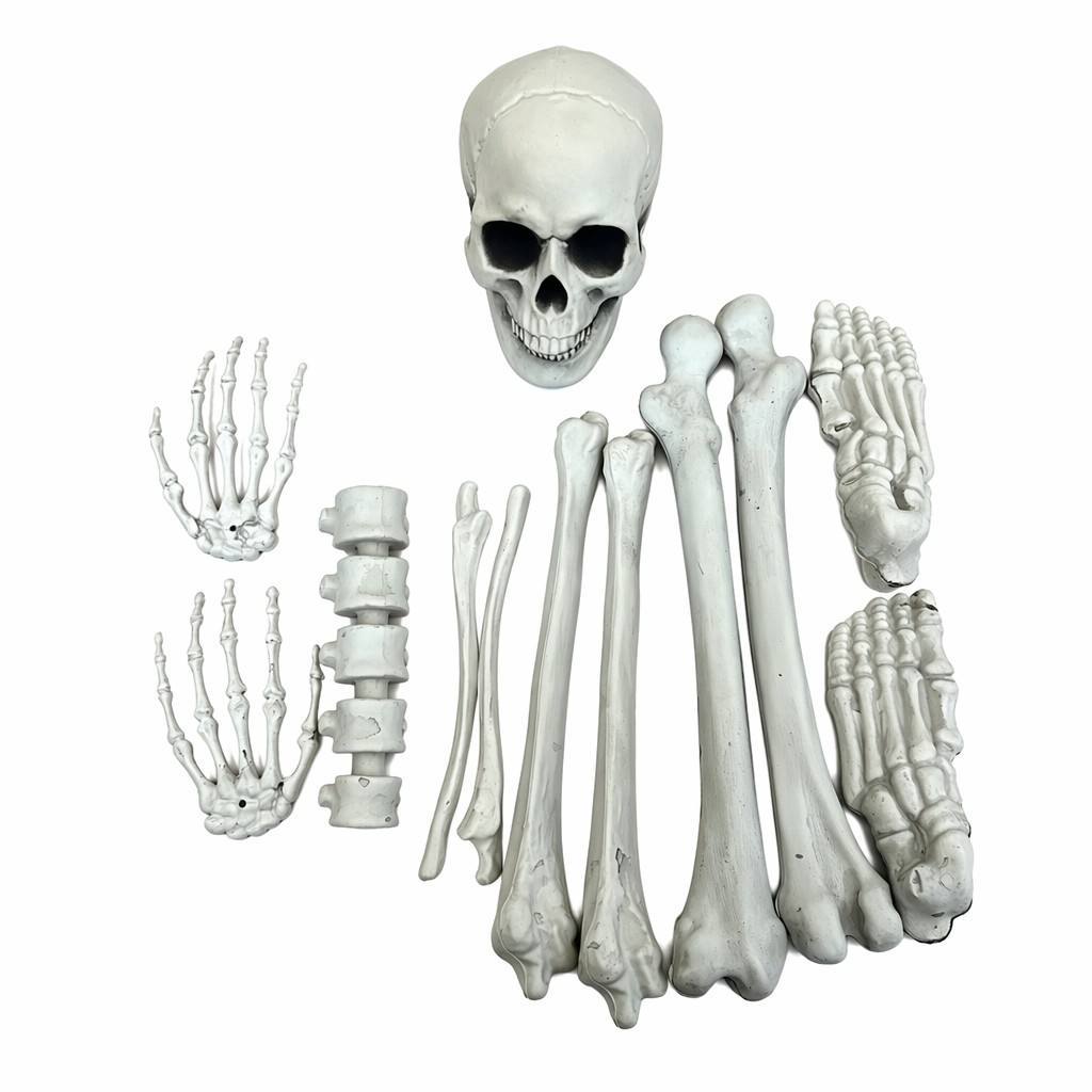 Halloween Realistic Human Bone Set (12-Piece Set)