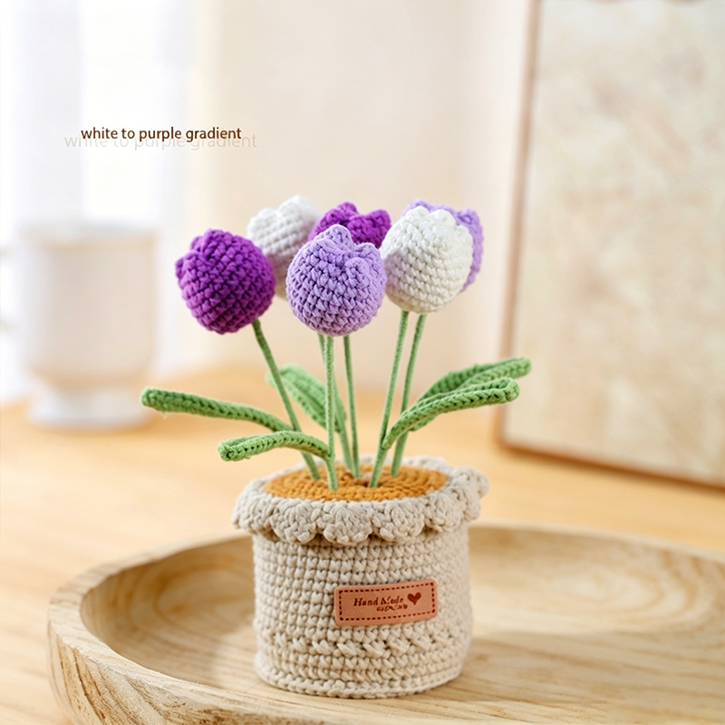 Exquisite Hand-Woven Yarn Potted Plant