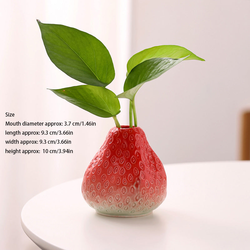 Fruit-shaped ceramic hydroponic planter