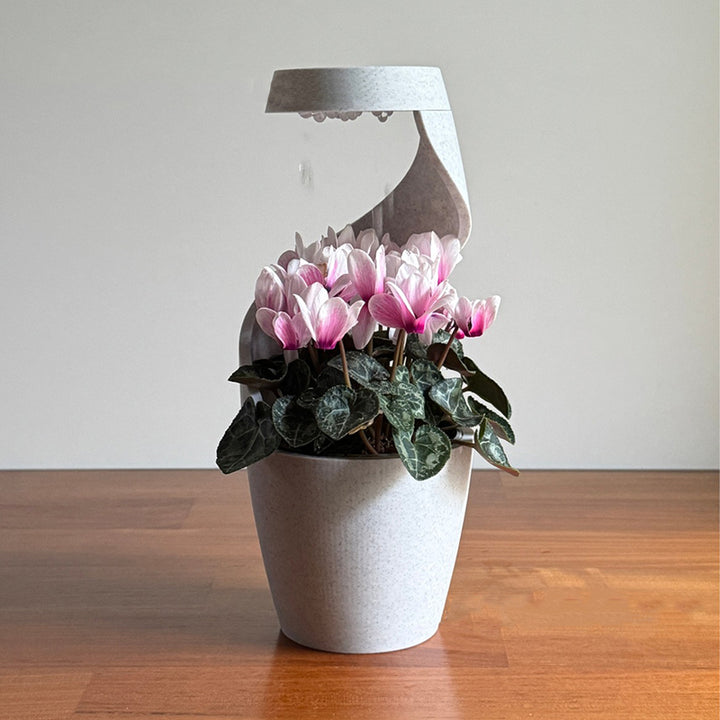 3D-Printed Rotating Rain-Effect Vase